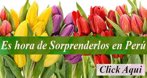 Sorpresasperu.com, Los Arreglos Florales mas bellos para toca ocasion
