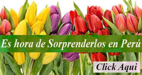 Envia Sonrisas y Celebra con Los Mas Variados Arreglos florales