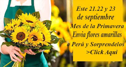 Sorpresasperu.com, Los Arreglos Florales mas bellos para toca ocasion
