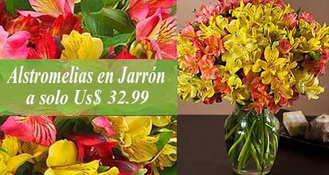 Arreglos desde Us$ 29.99