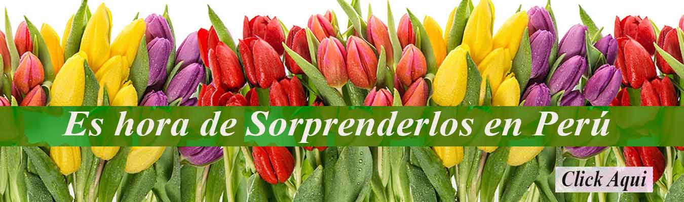 Sorpresasperu.com, Los Arreglos Florales mas bellos para toca ocasion
