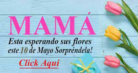 Sorpresasperu.com, Los Arreglos Florales mas bellos para toca ocasion
