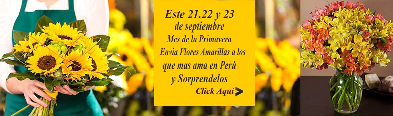 Sorpresasperu.com, Los Arreglos Florales mas bellos para toca ocasion
