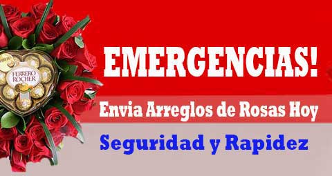 Sorpresasperu.com, Los Arreglos Florales mas bellos para toca ocasion 