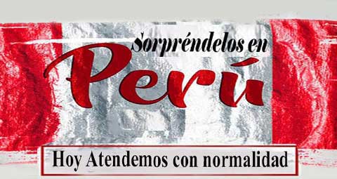 Sorpresasperu.com, Los Arreglos Florales mas bellos para toca ocasion 