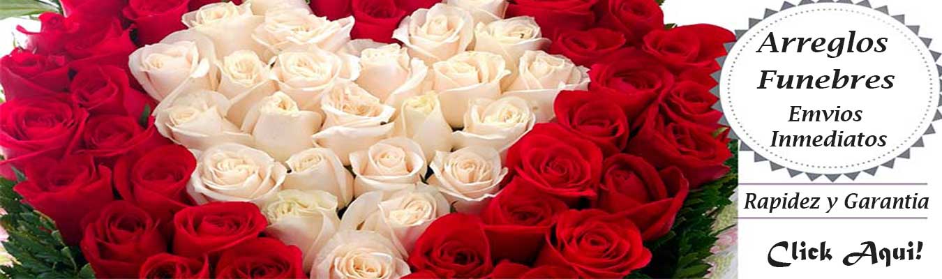 Envia Sonrisas y Celebra con Los Mas Variados Arreglos florales