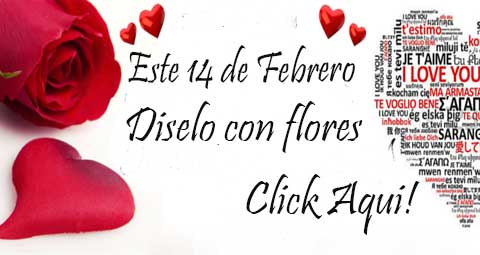 Ramo de Rosas y Torta Helada , Us$ 39.99