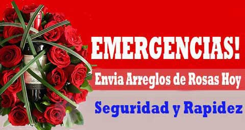 Arreglos desde Us$ 29.99
